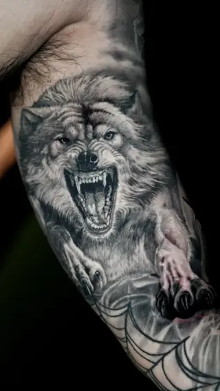 wolf