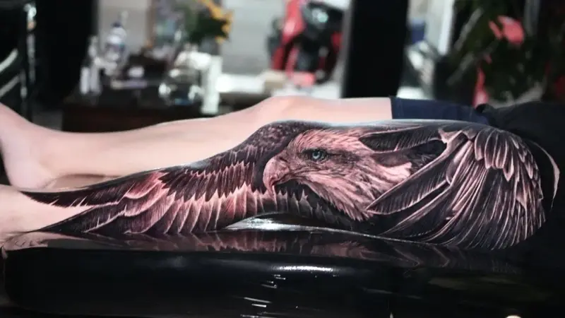 Eagle full leg